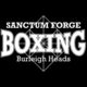 SanctumForgeBoxing